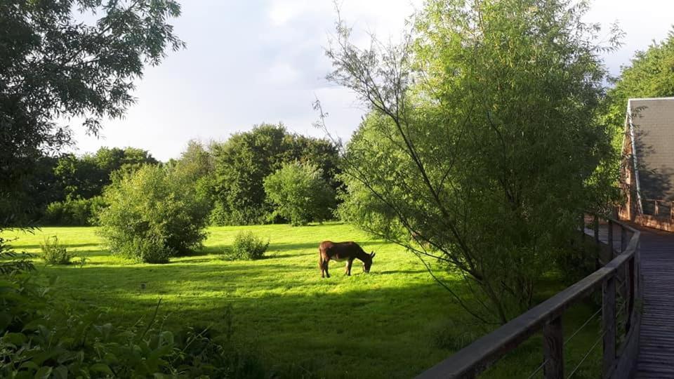 La Petite Motte Villa Ceton Eksteriør billede